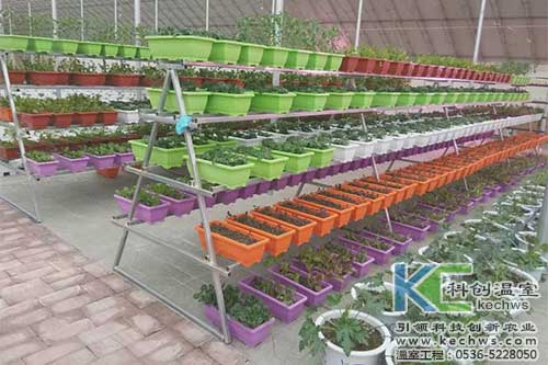 無土栽培，無土栽培技術(shù)，無土栽培設(shè)備