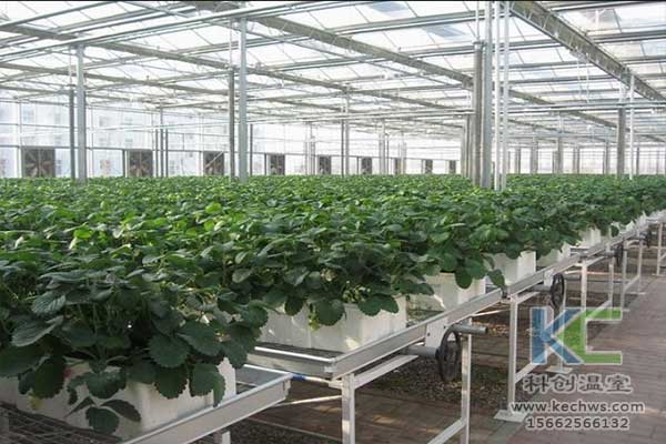 無土栽培，無土栽培技術
