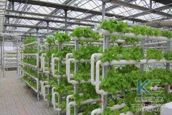 無土栽培，無土栽培技術，無土栽培設備