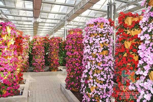 無土栽培，無土栽培技術，無土栽培設備