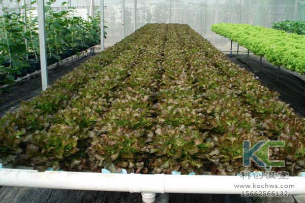 無土栽培，無土栽培技術(shù)，無土栽培設(shè)備