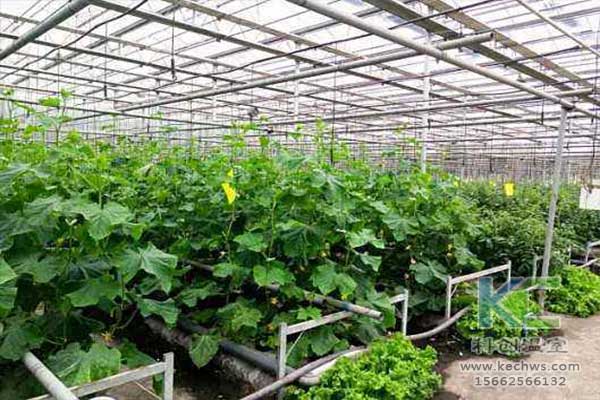 無(wú)土栽培，無(wú)土栽培技術(shù)，無(wú)土栽培設(shè)備