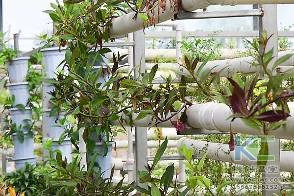 無(wú)土栽培，無(wú)土栽培技術(shù)，無(wú)土栽培設(shè)備