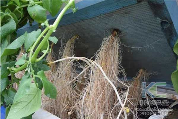 無土栽培，無土栽培技術，無土栽培設備