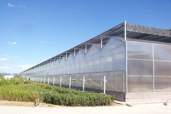 無土栽培，無土栽培技術，無土栽培設備