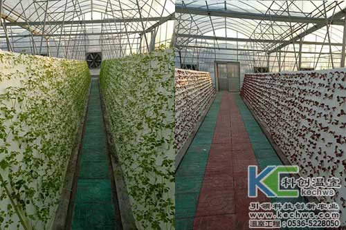 無土栽培，無土栽培技術(shù)，無土栽培設(shè)備