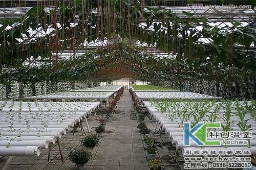 無(wú)土栽培，無(wú)土栽培技術(shù)，無(wú)土栽培設(shè)備