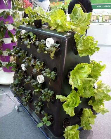 無土栽培，無土栽培技術，無土栽培設備