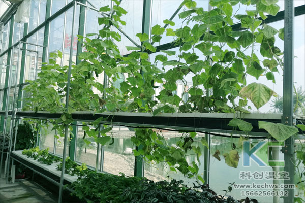 無土栽培，無土栽培技術(shù)，無土栽培設(shè)備