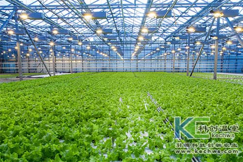 無(wú)土栽培，無(wú)土栽培技術(shù)，無(wú)土栽培設(shè)備