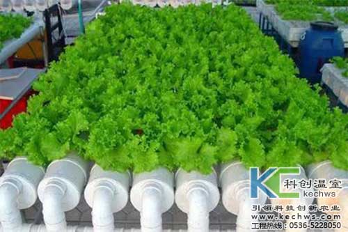 無土栽培，無土栽培技術，無土栽培設備