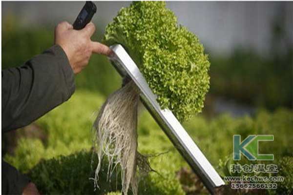 無土栽培，無土栽培技術，無土栽培設備