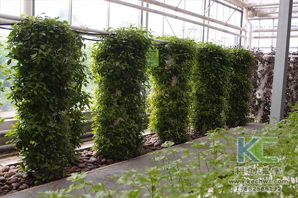 無土栽培，無土栽培技術(shù)，無土栽培設(shè)備