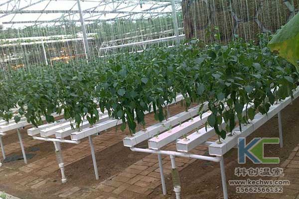 無土栽培，無土栽培技術(shù)，無土栽培設(shè)備