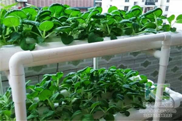 無(wú)土栽培，無(wú)土栽培技術(shù)，無(wú)土栽培設(shè)備