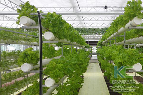 無土栽培，無土栽培技術，無土栽培設備