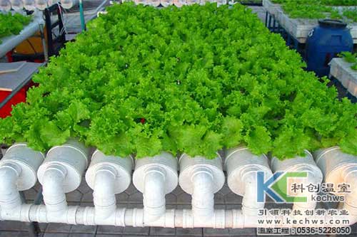 無土栽培，無土栽培技術(shù)，無土栽培設(shè)備