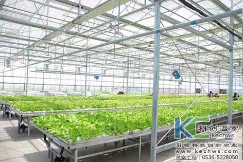 無土栽培，無土栽培技術，無土栽培設備