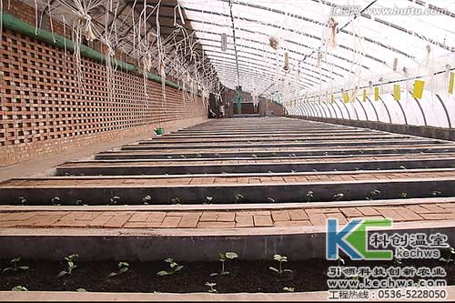 無土栽培，無土栽培技術，無土栽培設備