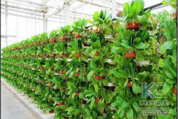 無(wú)土栽培，無(wú)土栽培技術(shù)，無(wú)土栽培設(shè)備