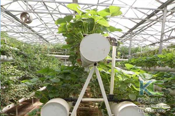 無土栽培，無土栽培技術，無土栽培設備