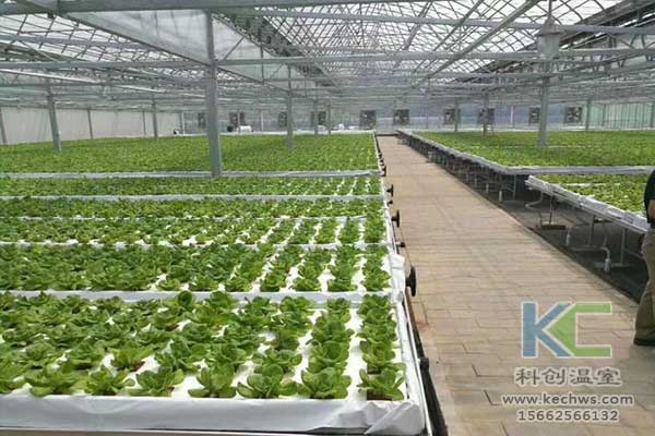 無土栽培，無土栽培技術，無土栽培設備