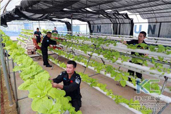 無土栽培，無土栽培技術，無土栽培設備