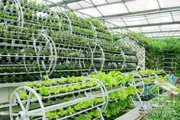 無土栽培，無土栽培技術(shù)，無土栽培設(shè)備