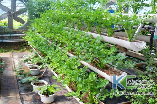 無土栽培，無土栽培技術，無土栽培設備