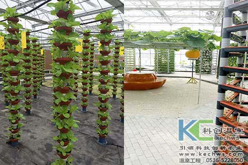無土栽培，無土栽培案例