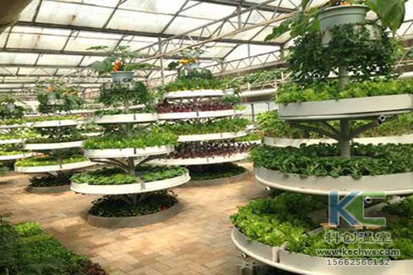 無土栽培技術(shù)，無土栽培設(shè)備，無土栽培，溫室大棚
