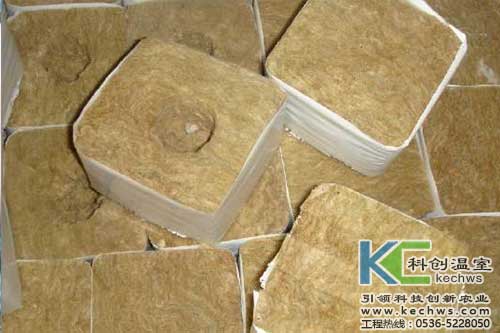 無土栽培，無土栽培技術(shù)，無土栽培設(shè)備