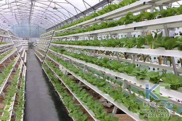 無土栽培，無土栽培技術(shù)，無土栽培設(shè)備