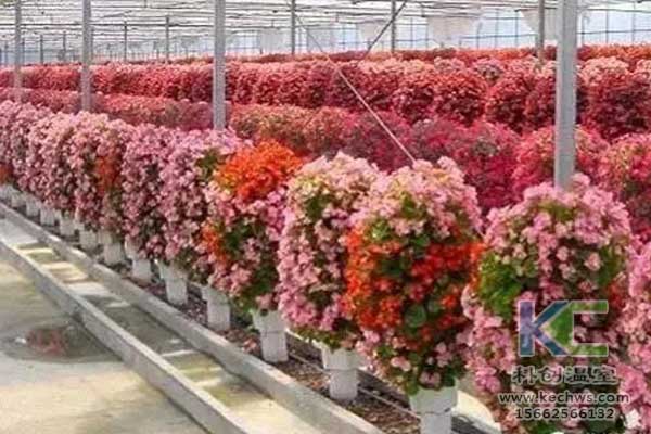 無土栽培，無土栽培技術(shù)，無土栽培設(shè)備