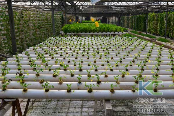 無土栽培，無土栽培技術(shù)，無土栽培設(shè)備