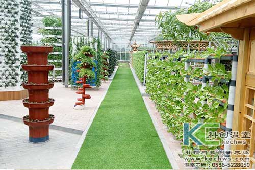 無土栽培，無土栽培案例