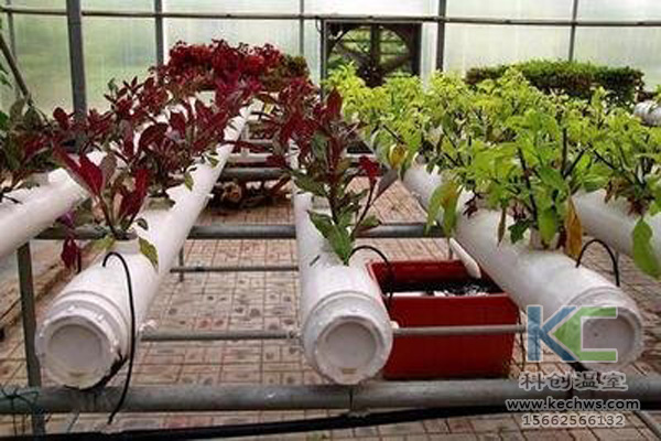 無土栽培，無土栽培技術(shù)，無土栽培設(shè)備