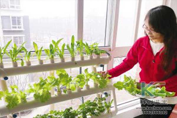無(wú)土栽培，無(wú)土栽培技術(shù)，無(wú)土栽培設(shè)備