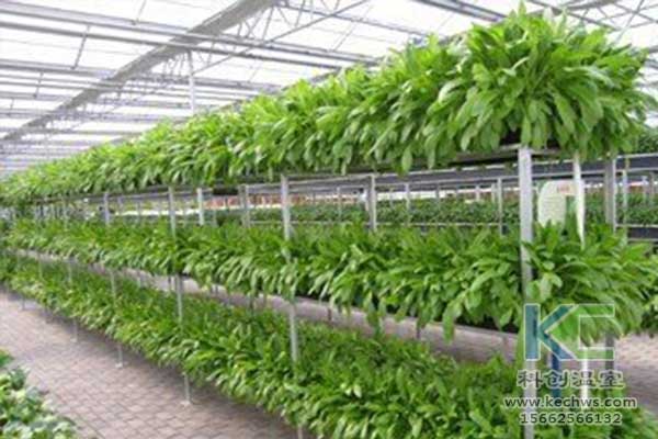 無土栽培，無土栽培技術，無土栽培設備