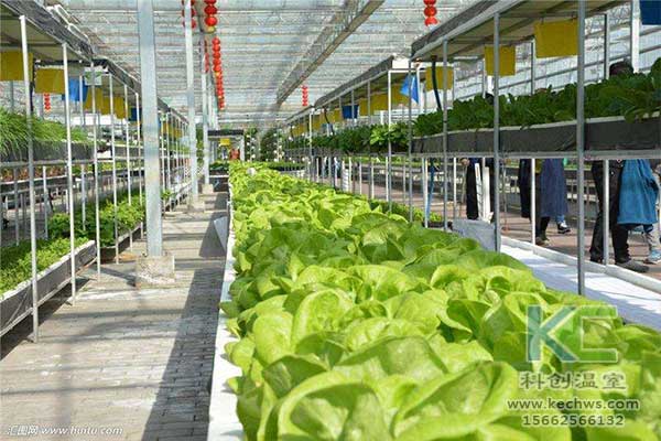 無土栽培，無土栽培技術(shù)，無土栽培設(shè)備