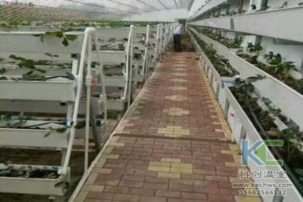 無土栽培，無土栽培技術，無土栽培設備