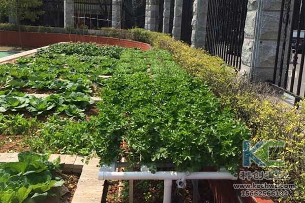 無土栽培，無土栽培技術，無土栽培設備