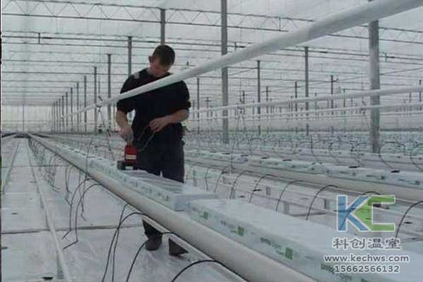 無土栽培，無土栽培技術(shù)，無土栽培設(shè)備