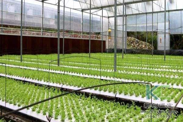 無(wú)土栽培，無(wú)土栽培技術(shù)，無(wú)土栽培設(shè)備