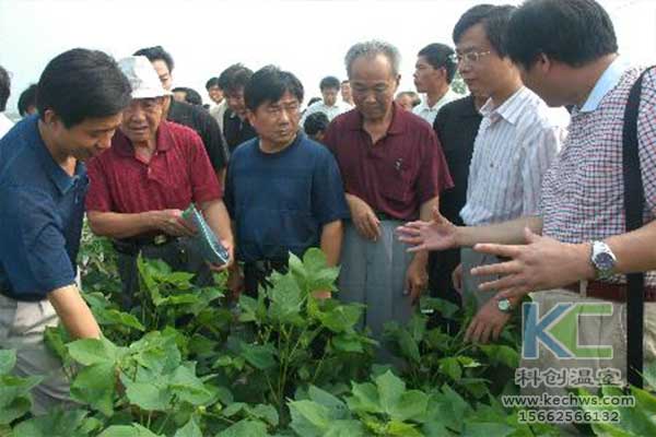 無土栽培，無土栽培技術，無土栽培設備