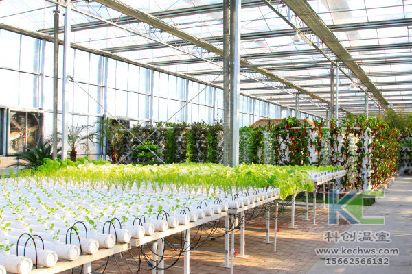 無土栽培，無土栽培技術，無土栽培設備
