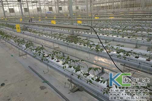 有機(jī)質(zhì)無土栽培,無土栽培,無土栽培技術(shù)