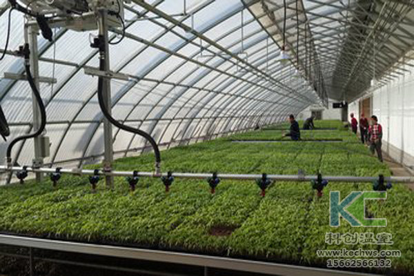 無土栽培，無土栽培技術，無土栽培設備