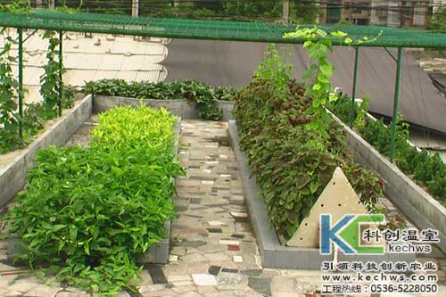 無土栽培，無土栽培技術，無土栽培設備