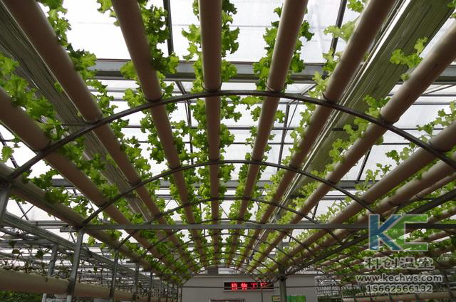 無土栽培，無土栽培技術，無土栽培設備